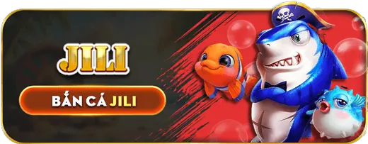 Hình ảnh minh họa khu vực Câu hỏi thường gặp về đăng nhập ae666 win